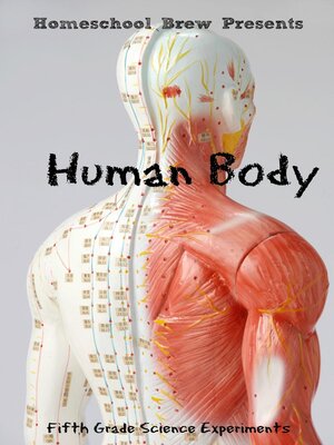 cover image of Human Body (Fifth Grade Science Experiments)